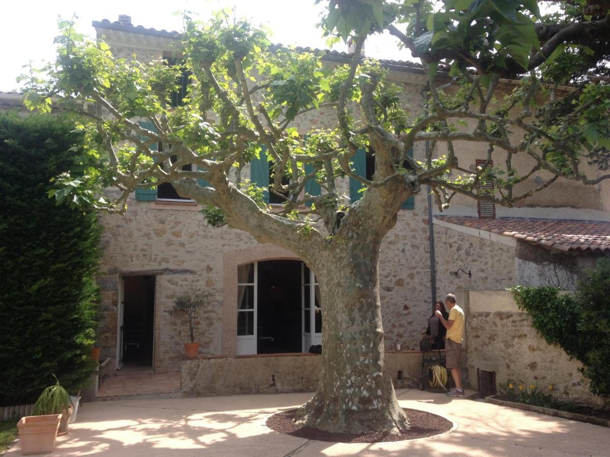 L'Abri Du Poete Acomodação com café da manhã Besse-sur-Issole Exterior foto